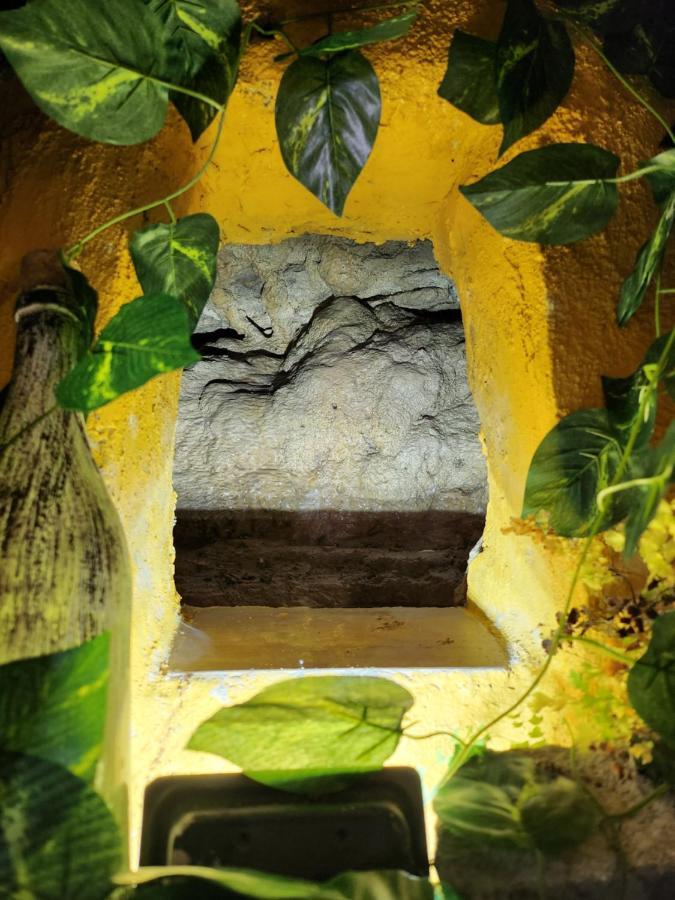 Casita Zamudio Daire Setenil De Las Bodegas Dış mekan fotoğraf